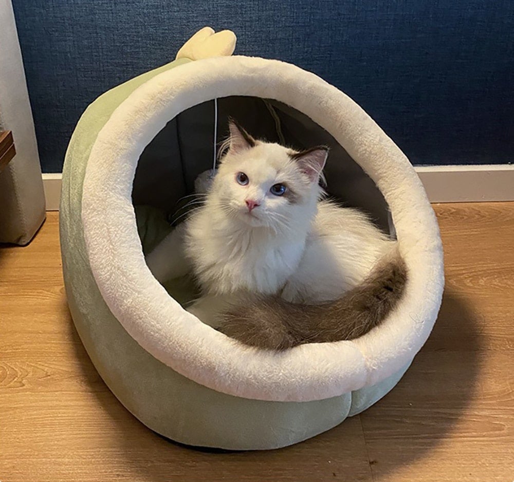 Panier pour chat très doux et chaud avec jeu de balle - Coussin amovible