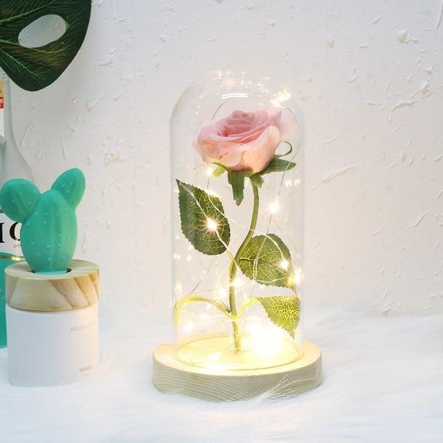 Rose éternelle sous cloche