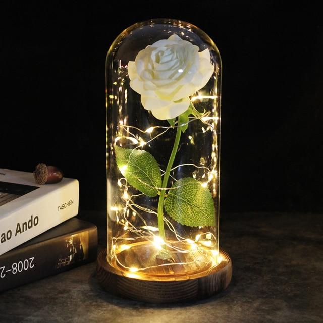 Rose éternelle sous cloche