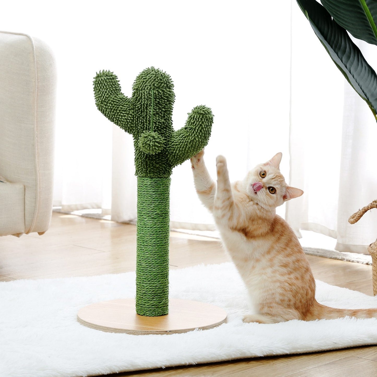 Arbre à chat champignon