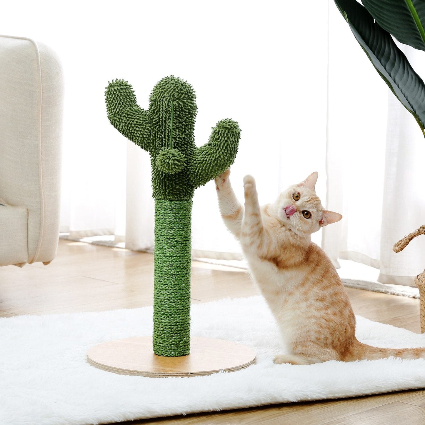 Arbre à chat champignon