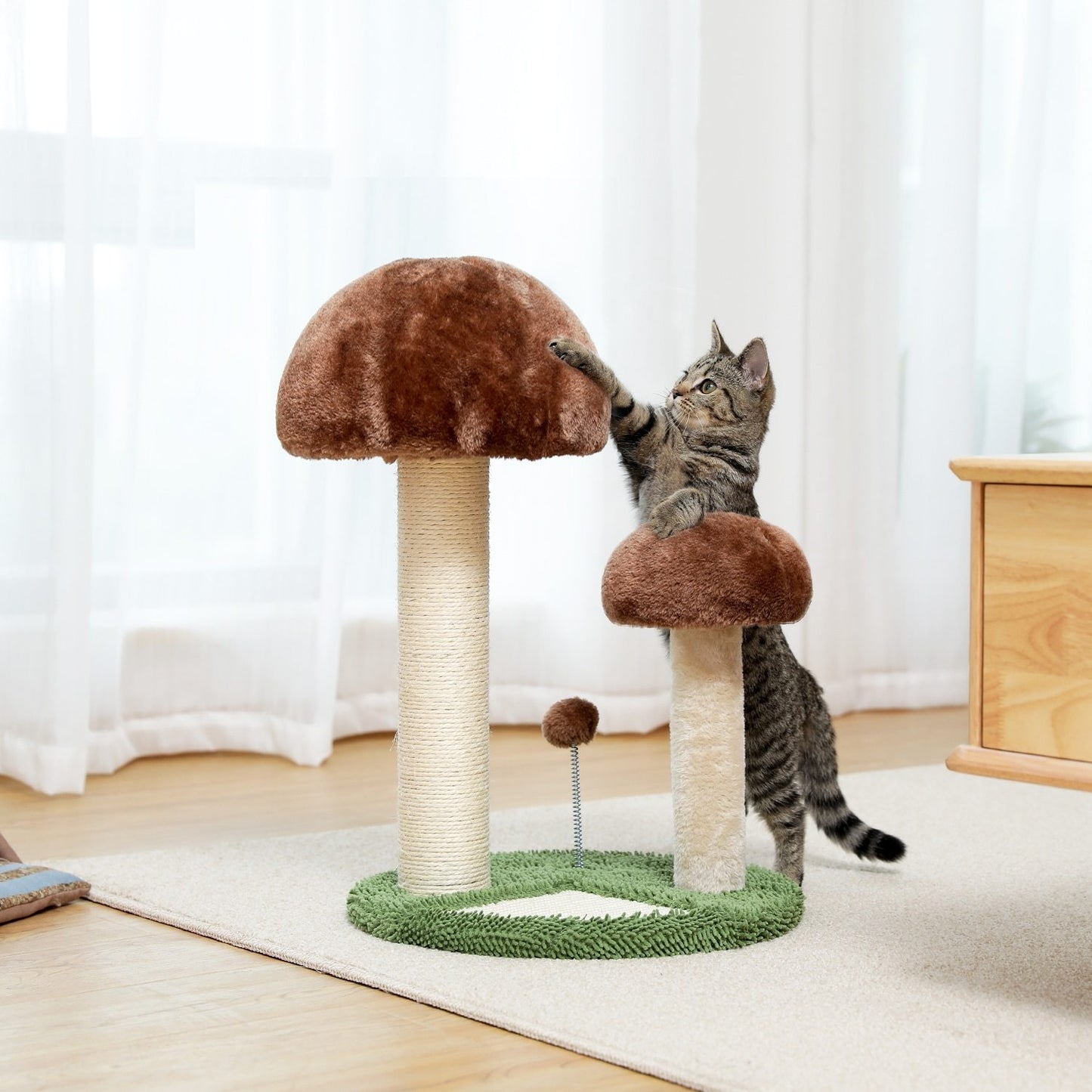 Arbre à chat champignon