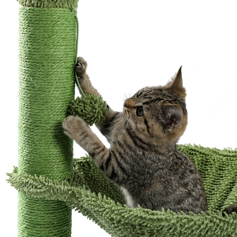 Arbre à chat cactus et hamac
