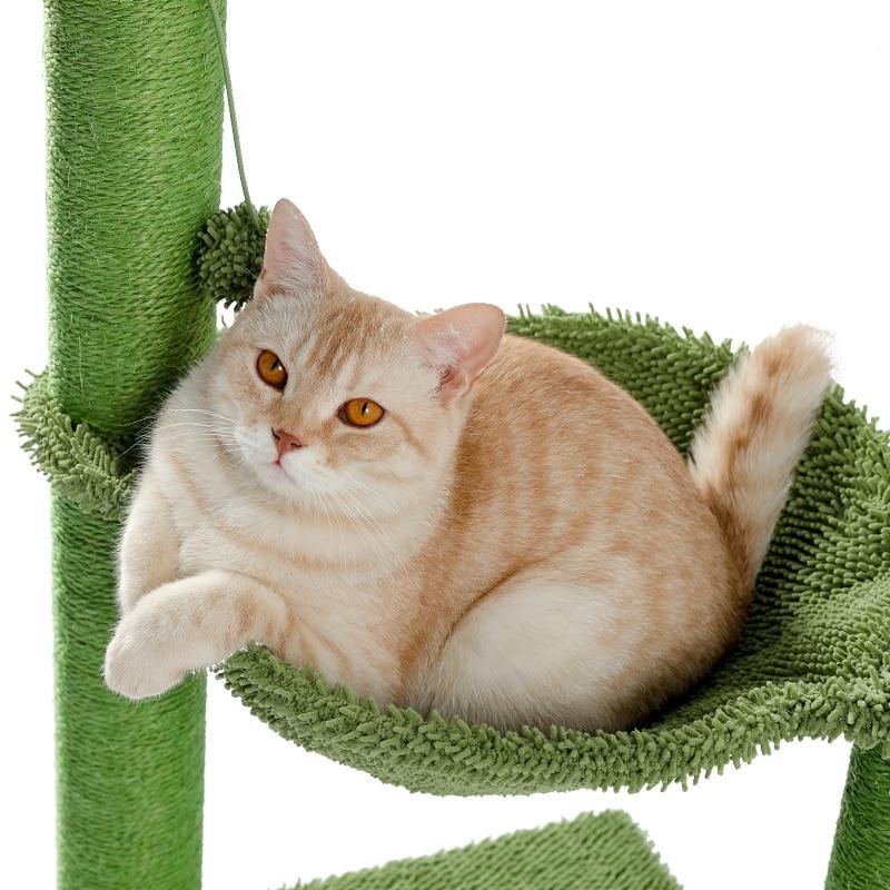 Arbre à chat champignon