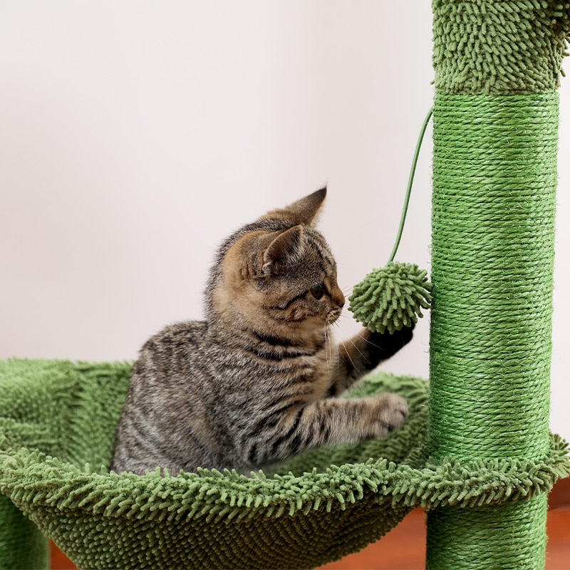 Arbre à chat cactus et hamac