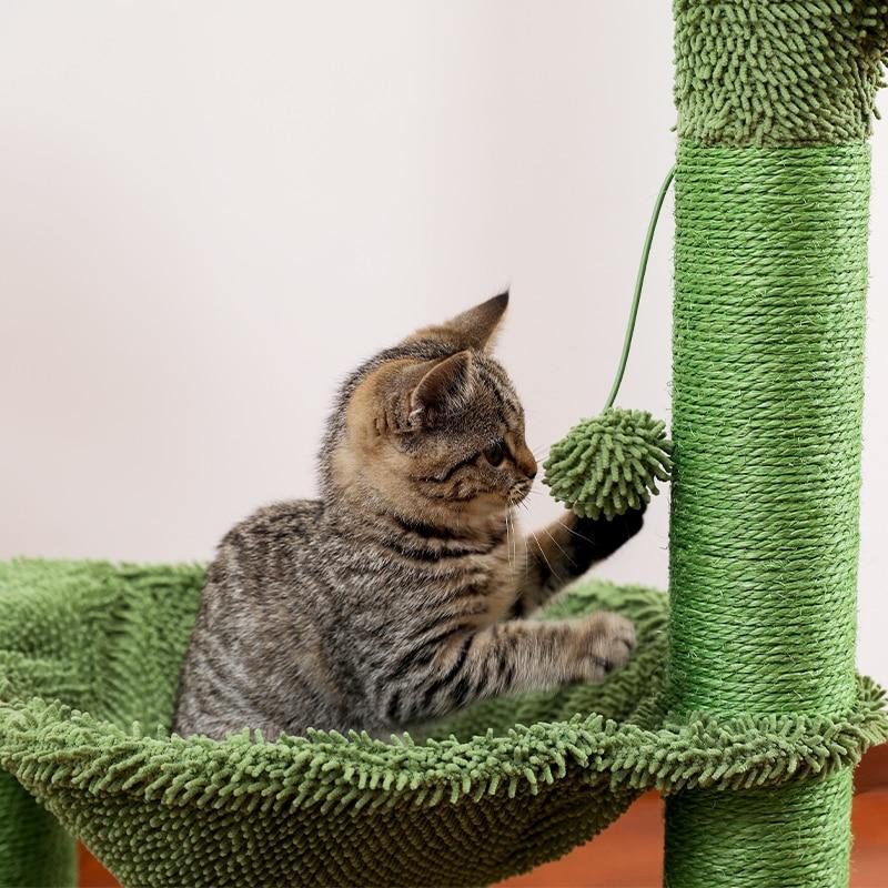 Arbre à chat champignon