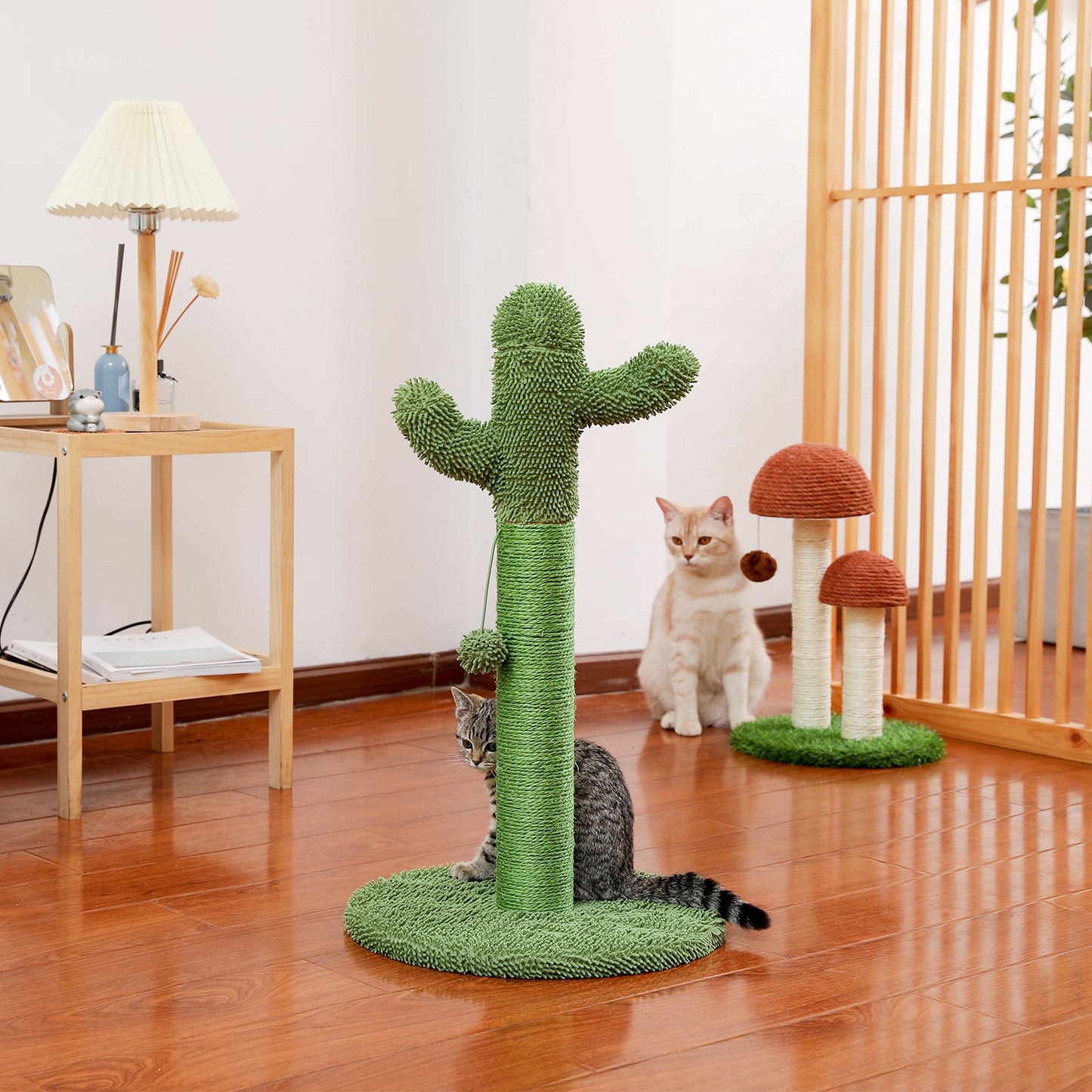 Arbre à chat cactus et hamac