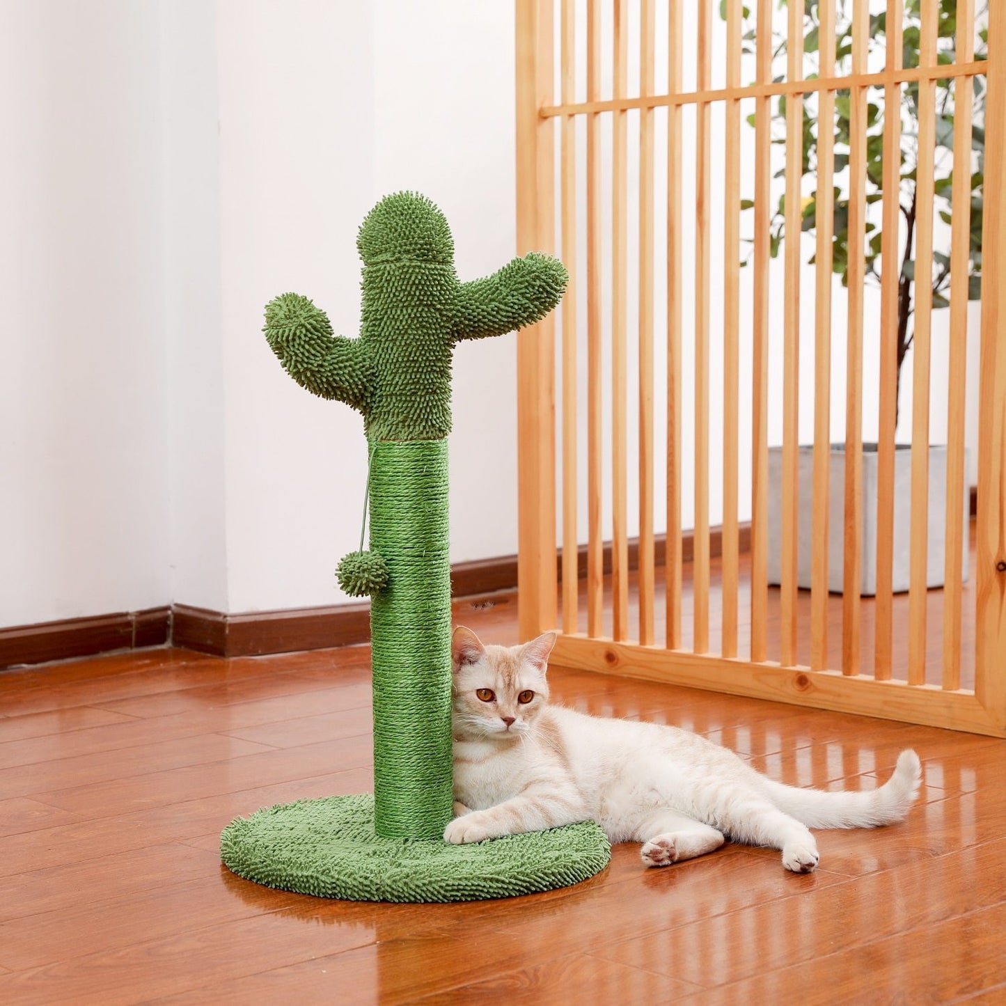 Arbre à chat champignon
