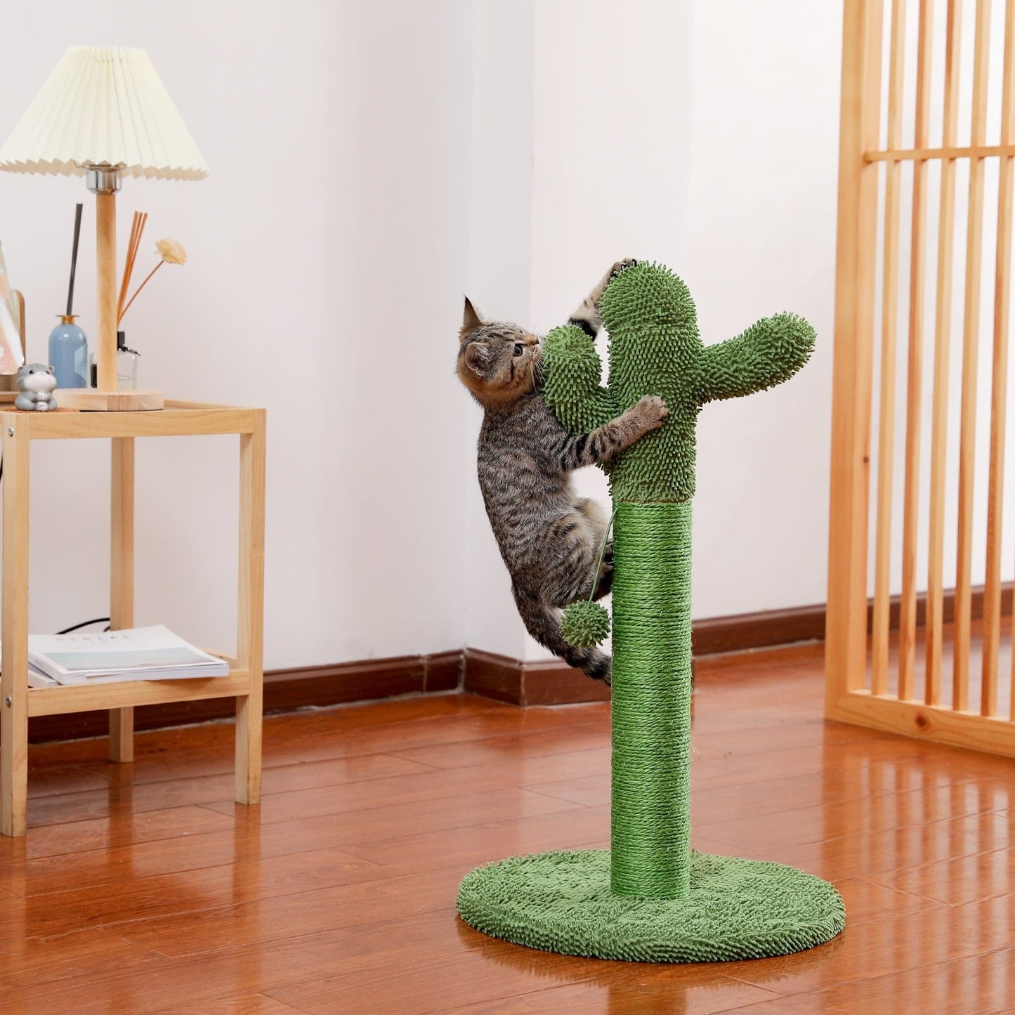Arbre à chat cactus