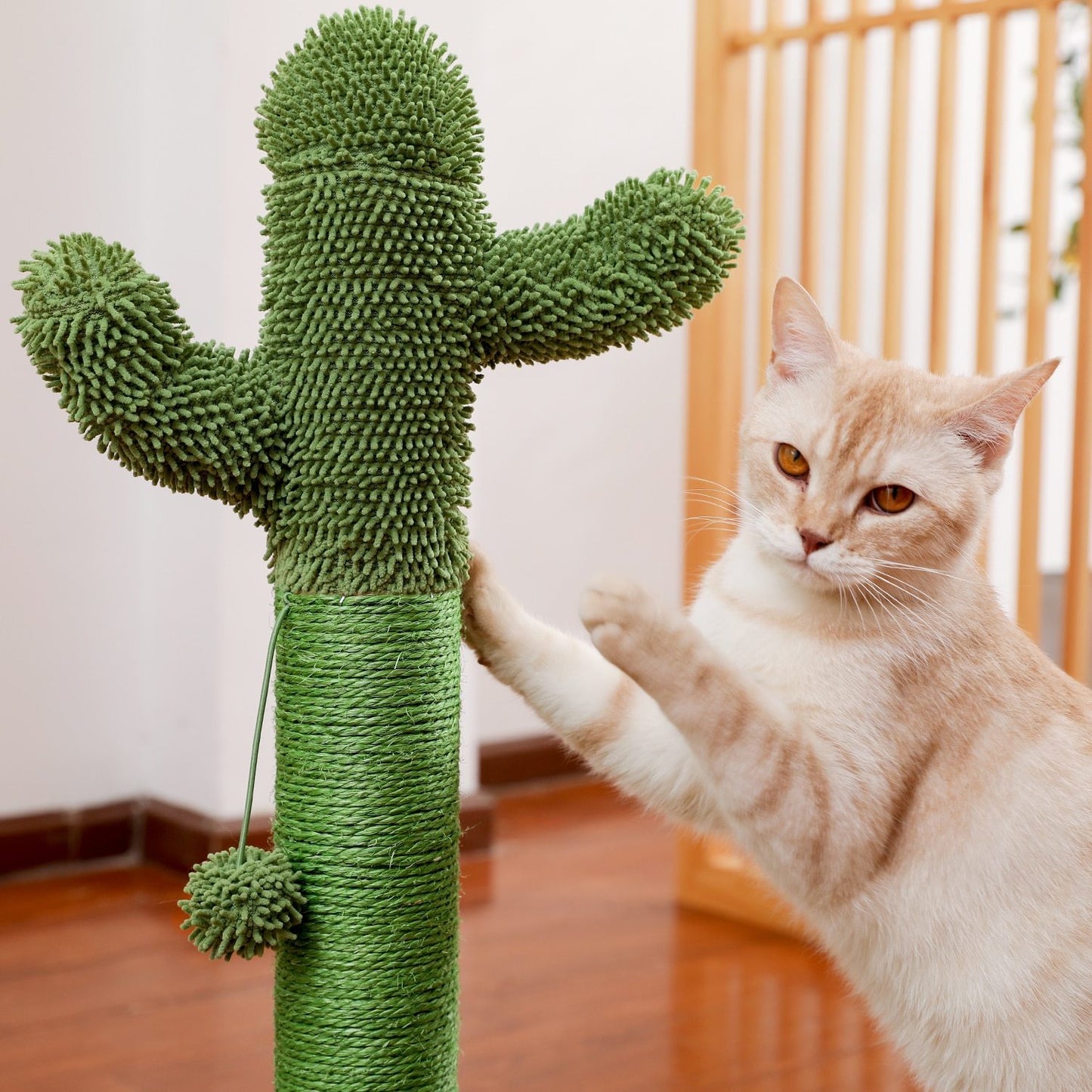 Arbre à chat champignon