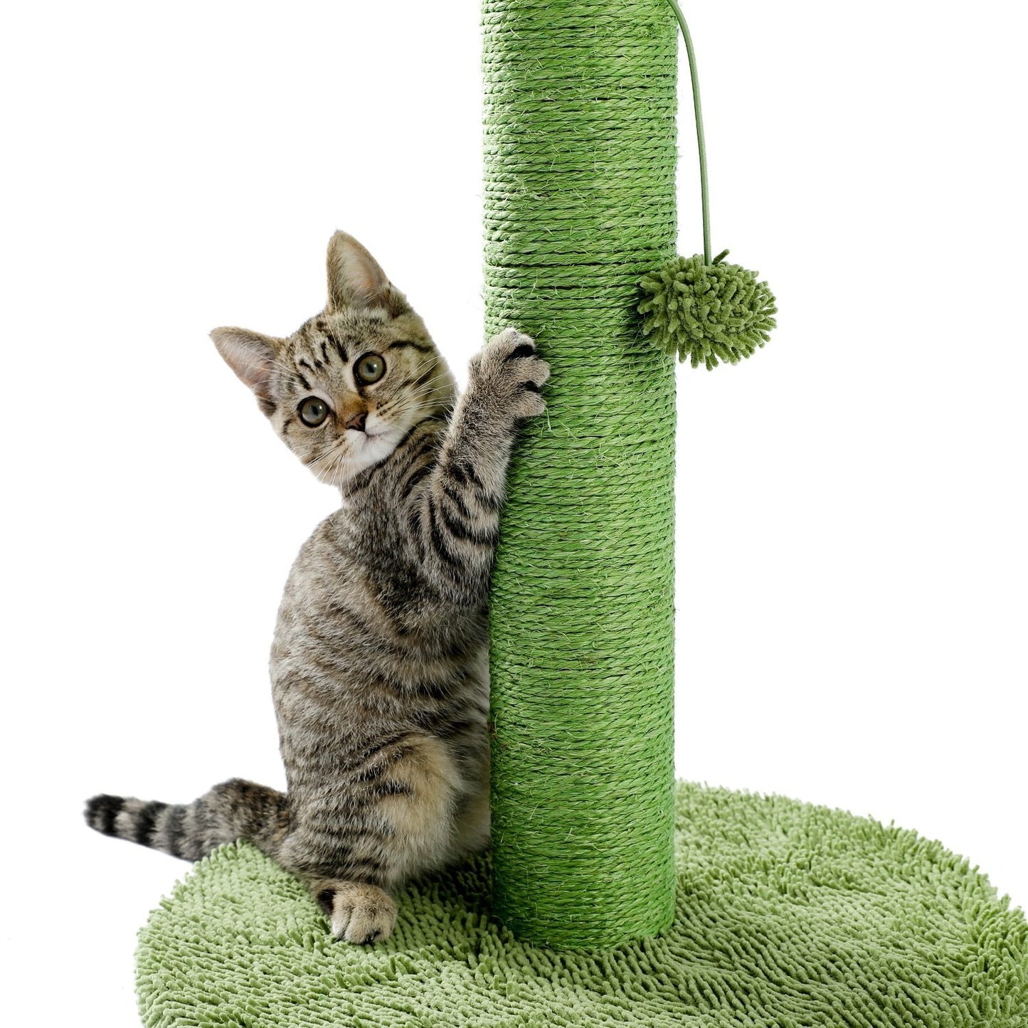 Arbre à chat champignon