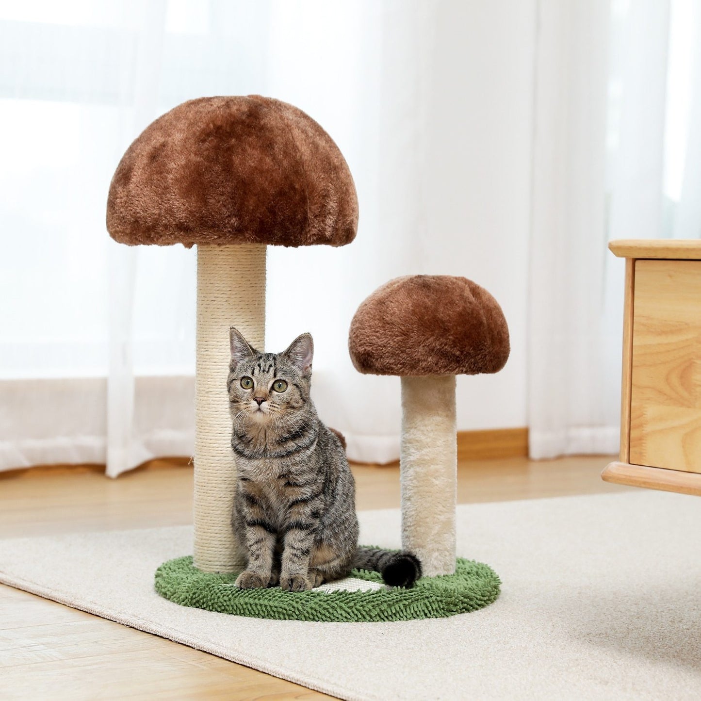 Arbre à chat champignon