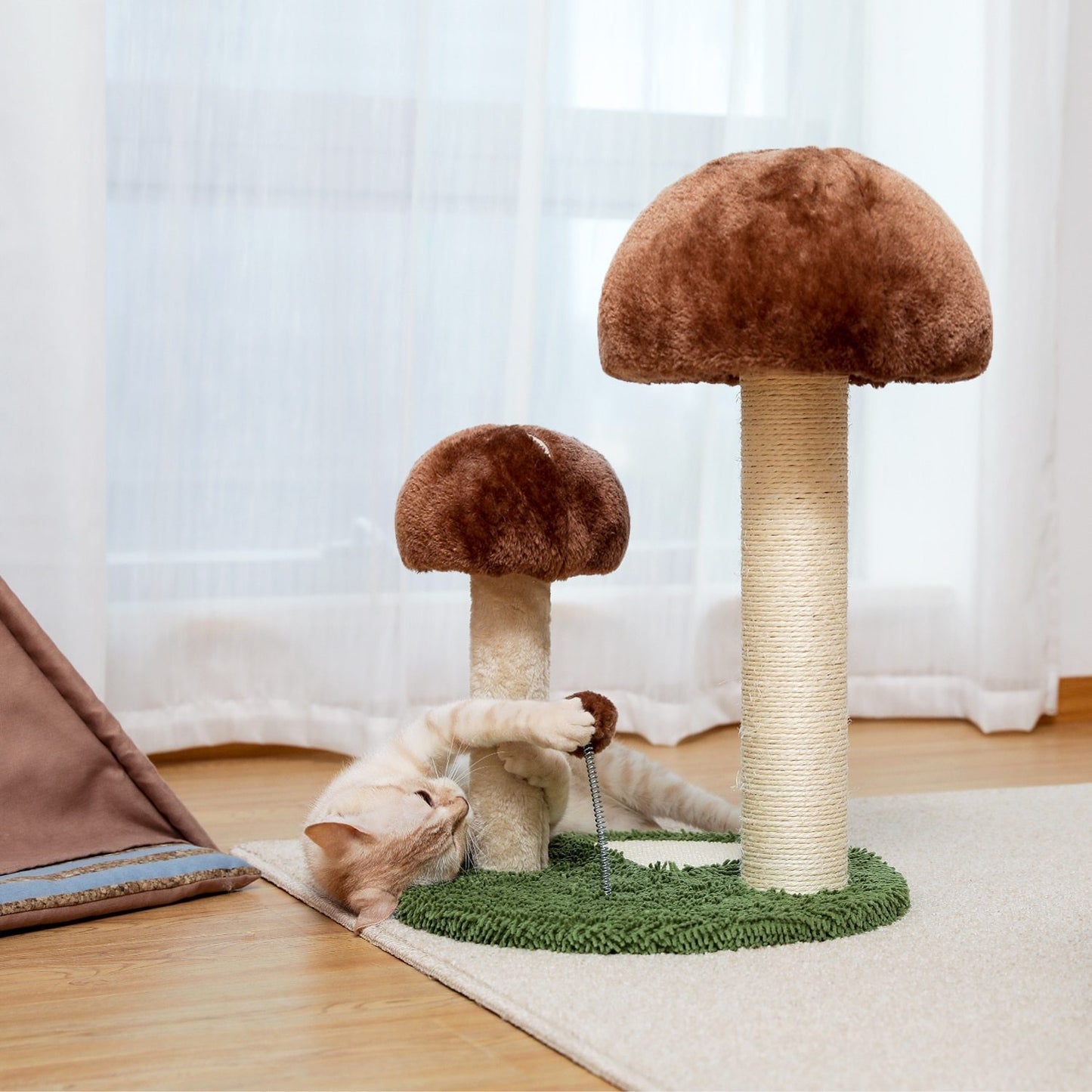 Arbre à chat champignon