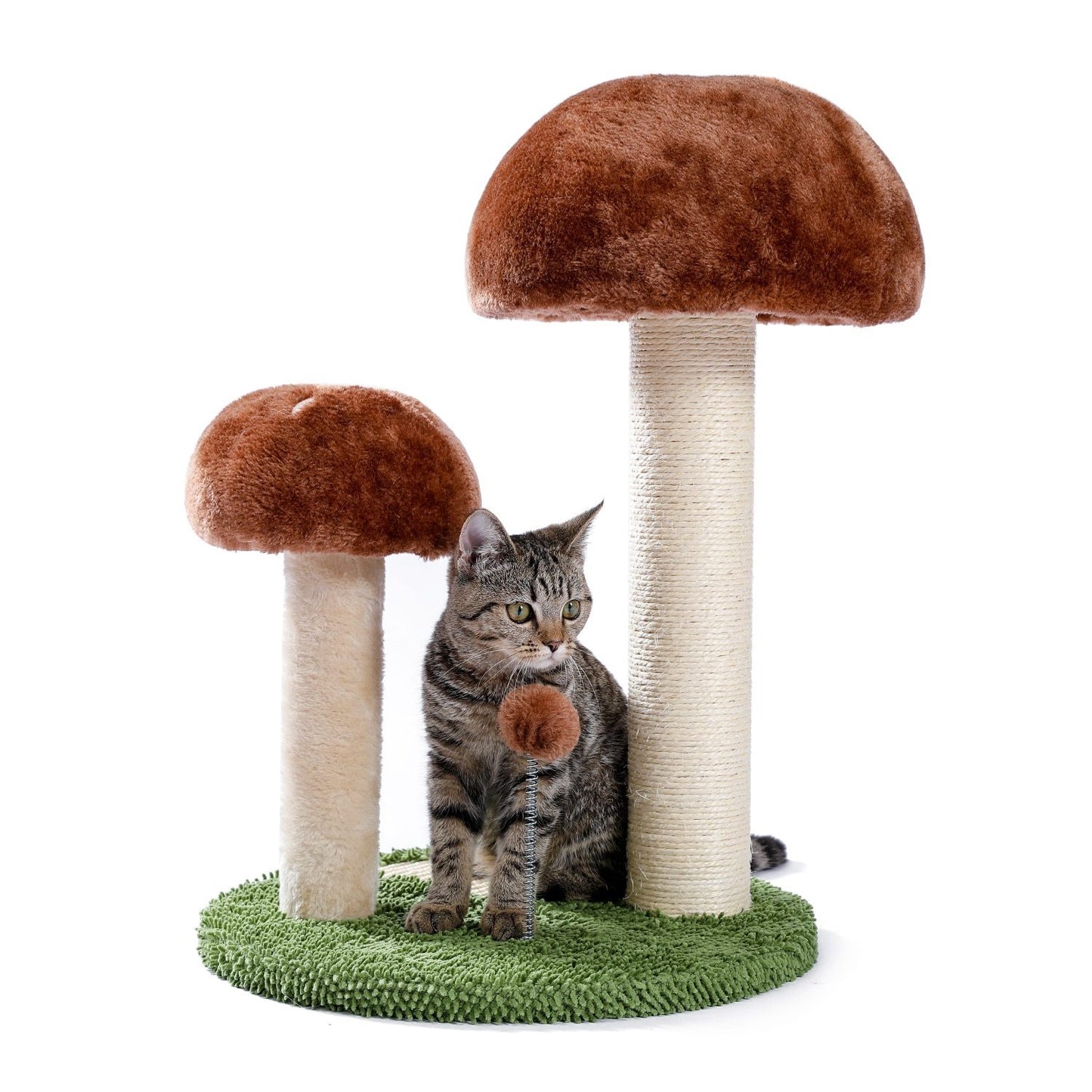 Arbre à chat champignon