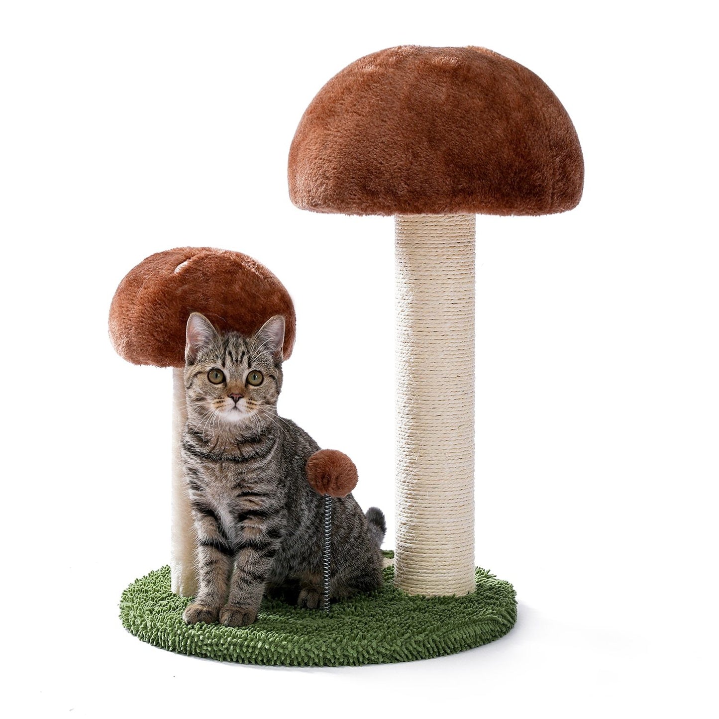 Arbre à chat champignon