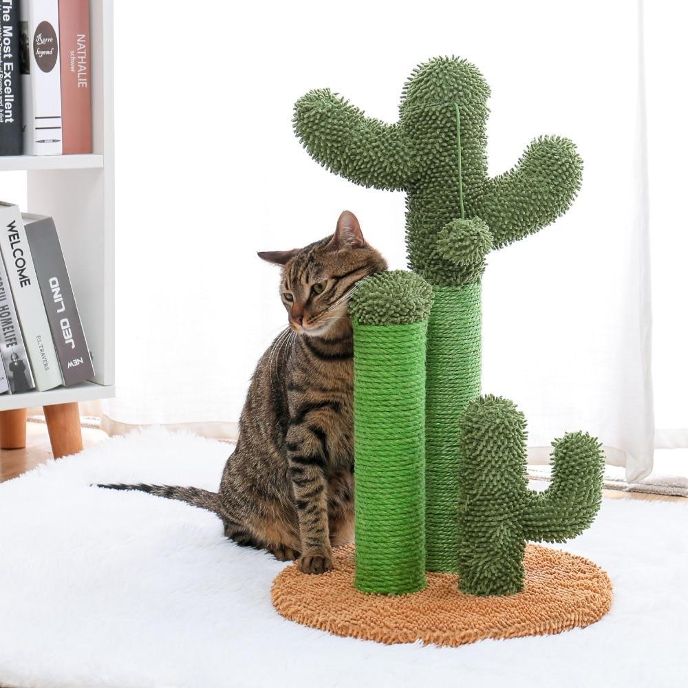 Arbre à chat champignon