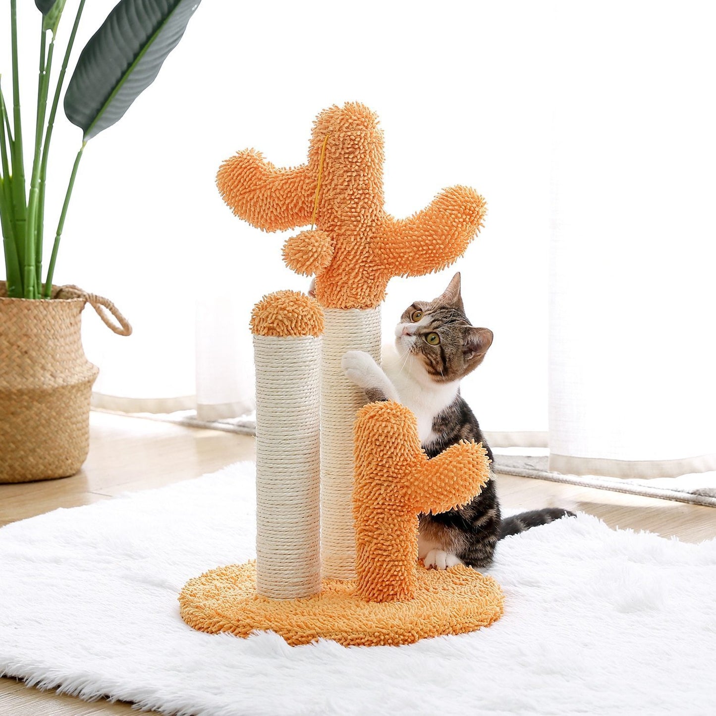 Arbre à chat champignon