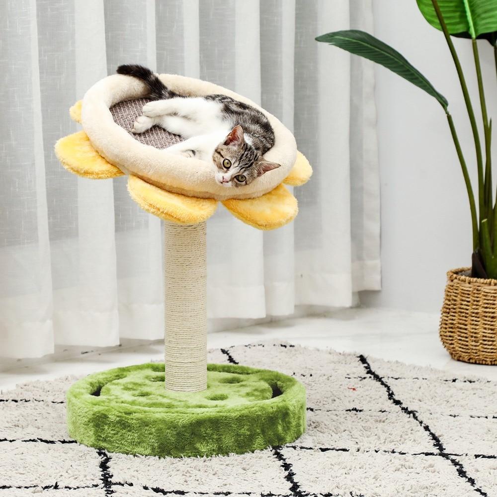 Arbre à chat champignon