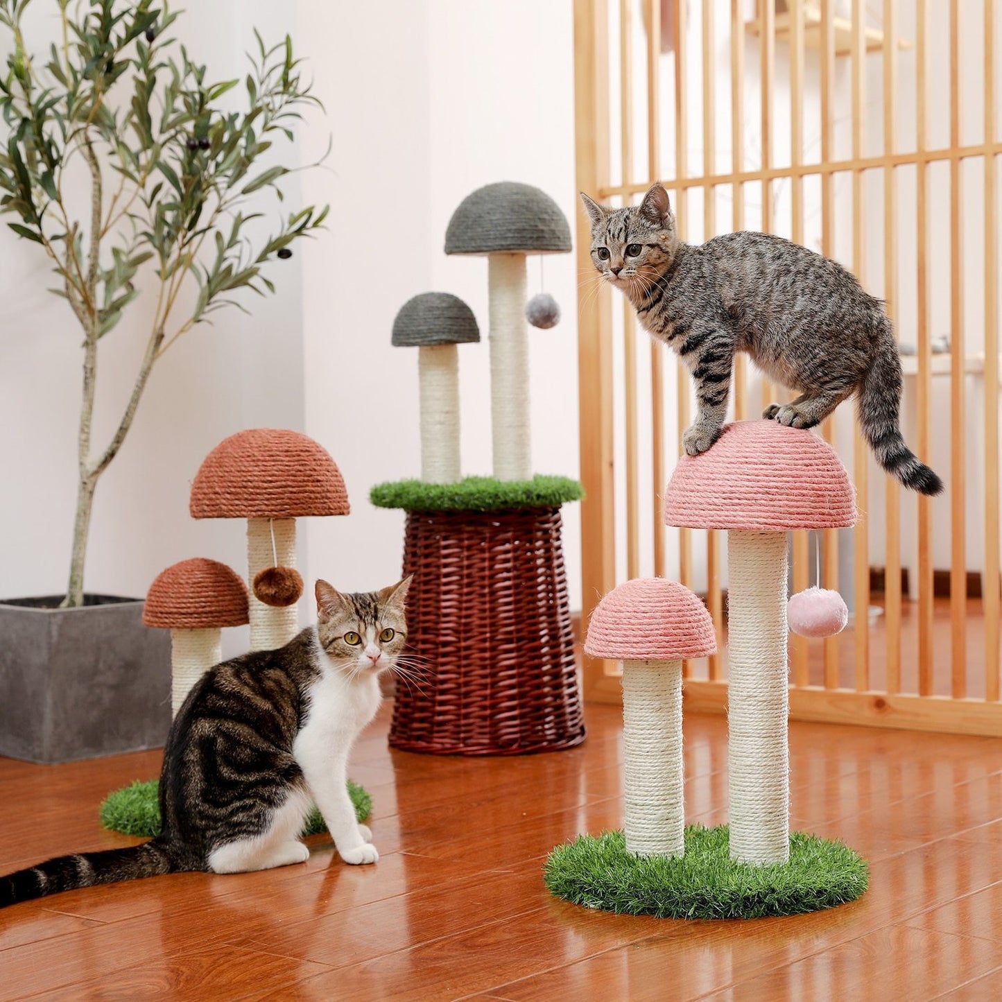 Arbre à chat champignon