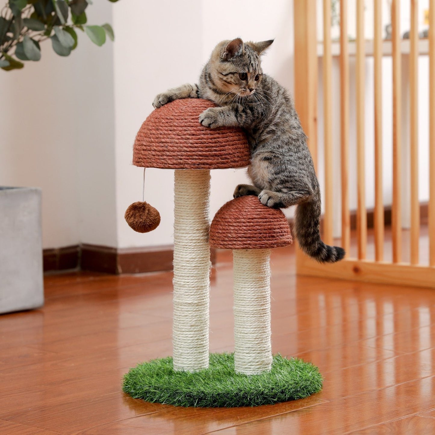 Arbre à chat champignon