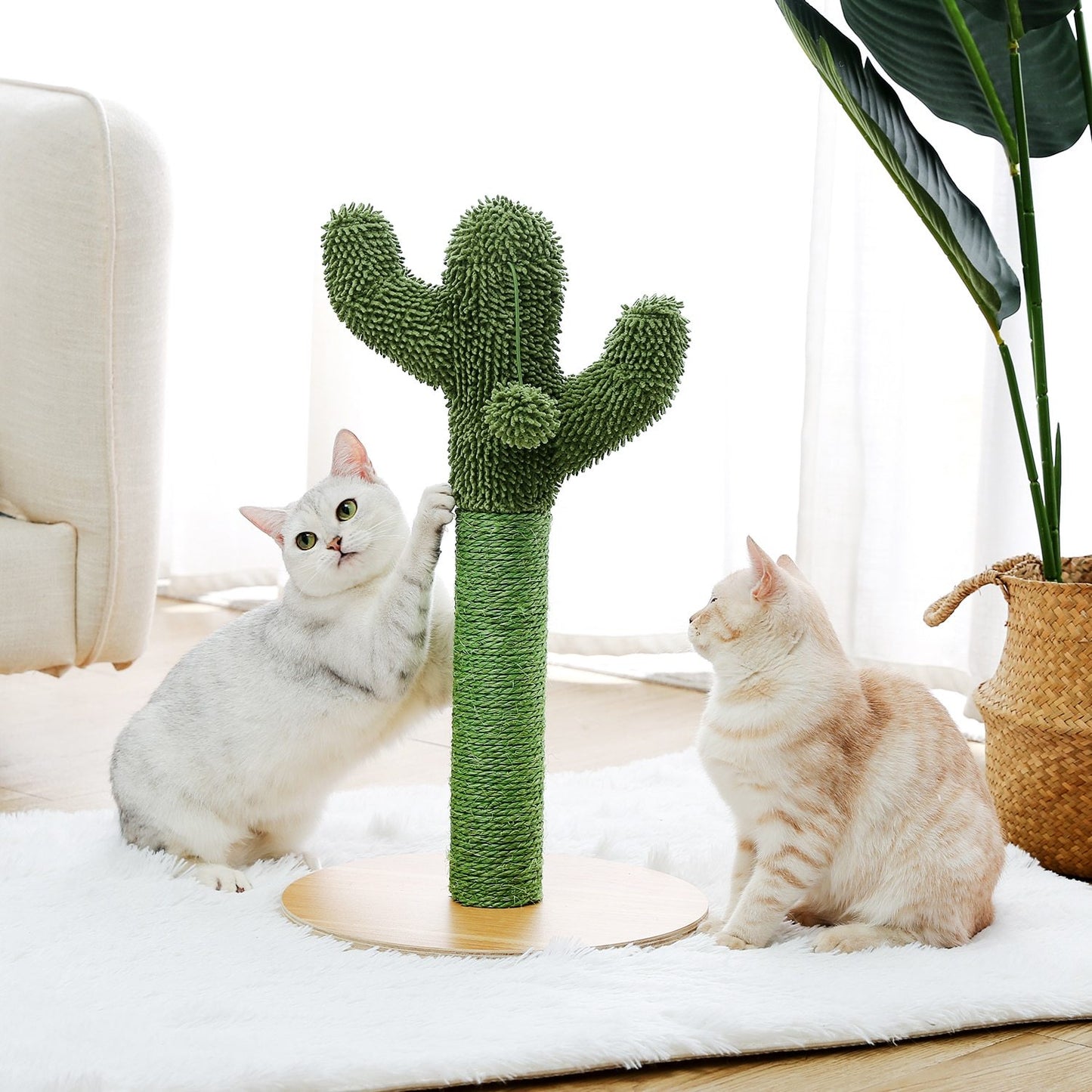 Arbre à chat champignon