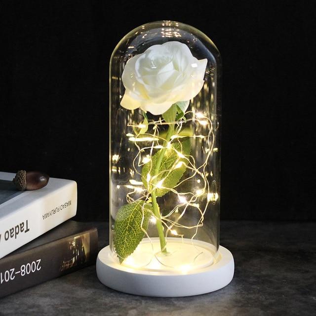 Rose éternelle sous cloche