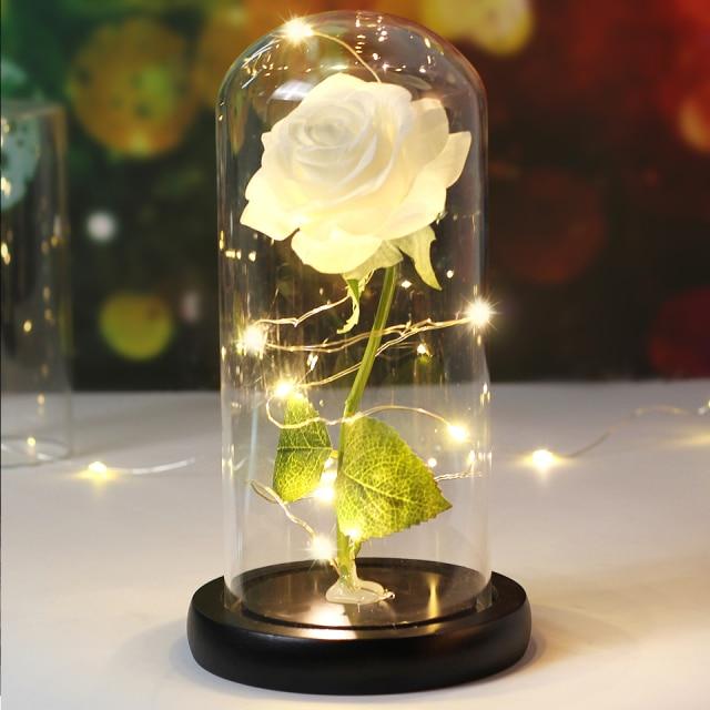Rose éternelle sous cloche