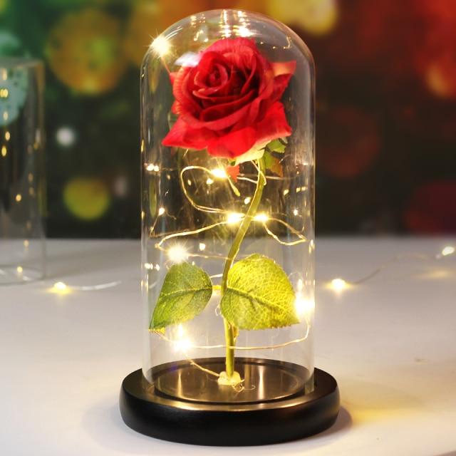 Rose éternelle sous cloche
