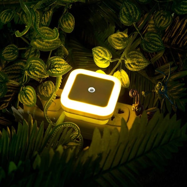 Luxlight - Veilleuses LED
