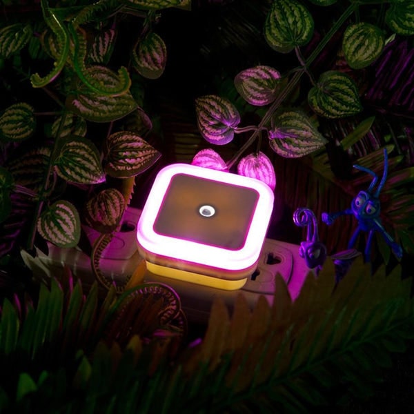 Luxlight - Veilleuses LED