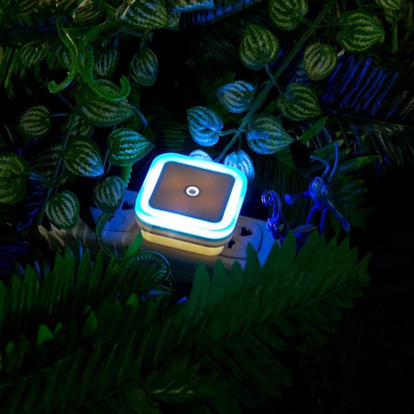 Luxlight - Veilleuses LED