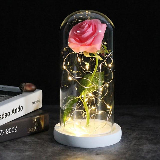 Rose éternelle sous cloche