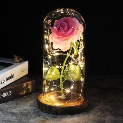 Rose éternelle sous cloche