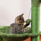 Arbre à chat champignon
