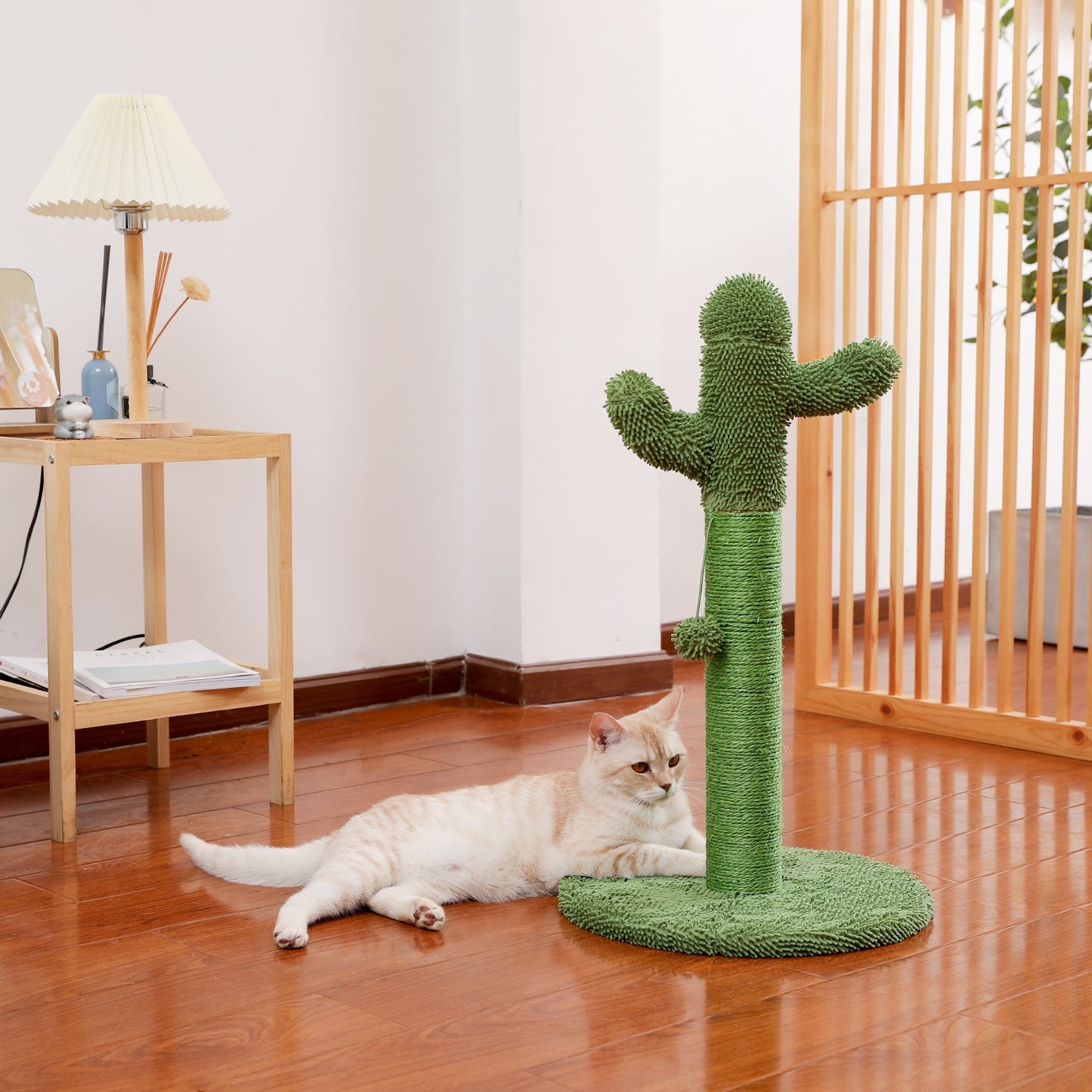 Arbre à chat cactus et hamac