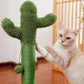 Arbre à chat cactus