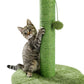 Arbre à chat champignon