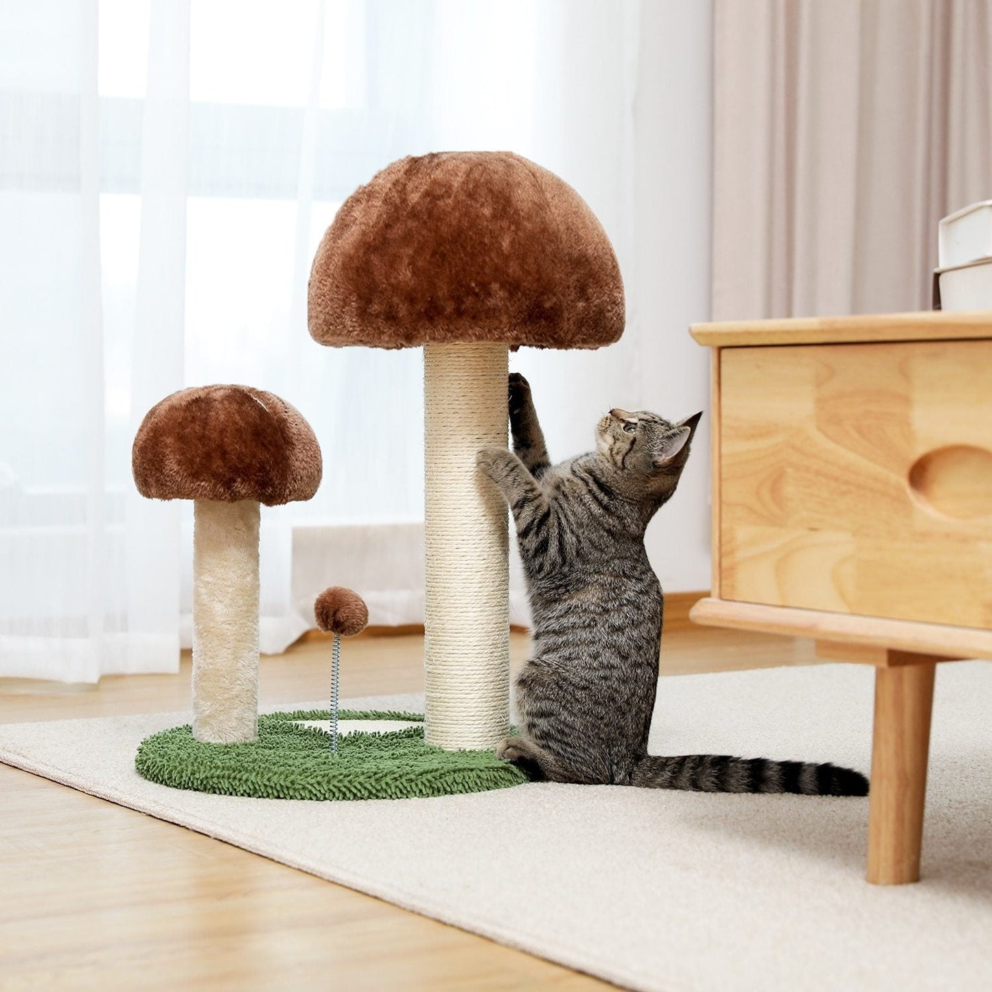 Arbre à chat champignon