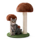 Arbre à chat cactus et hamac
