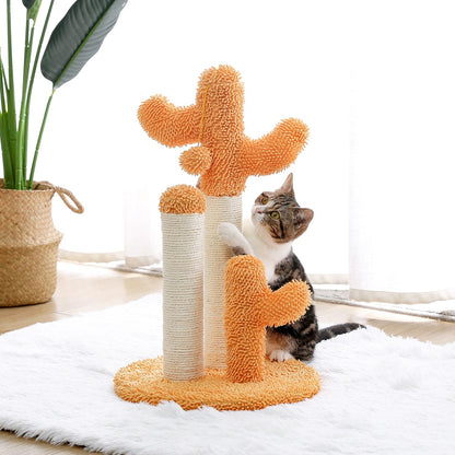 Arbre à chat cactus