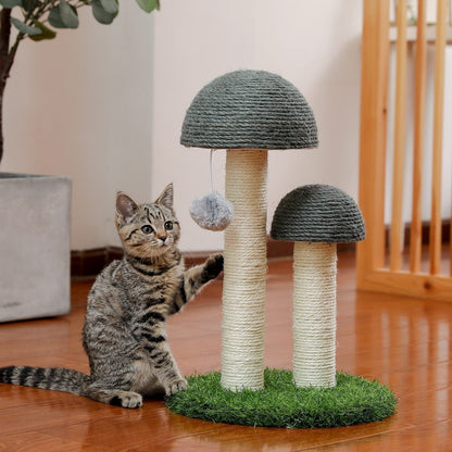 Arbre à chat champignon