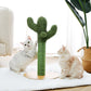Arbre à chat cactus